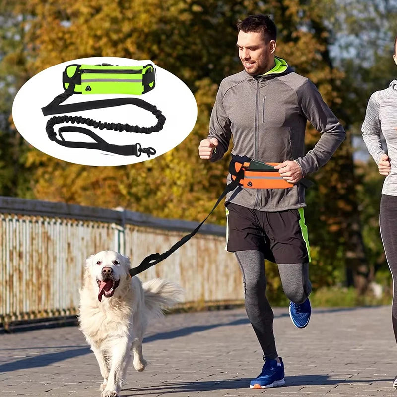 Hands-Free Reflective Dog Leash with Waist Bag – Retractable & Elastic for Running and Walking
