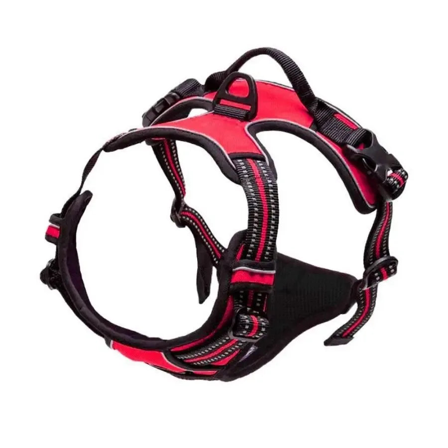 Dog Collar & Harness Set with Leash