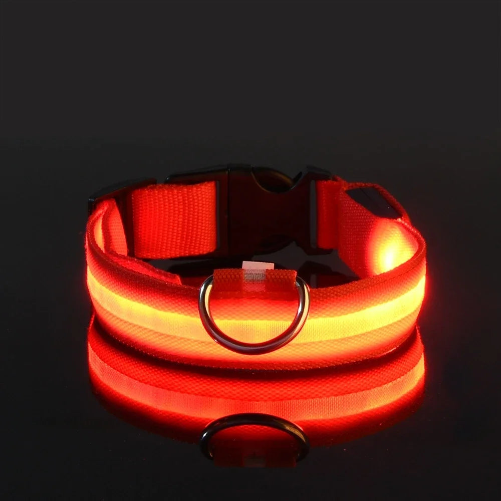 GlowCollar - See your dog, even in the dark
