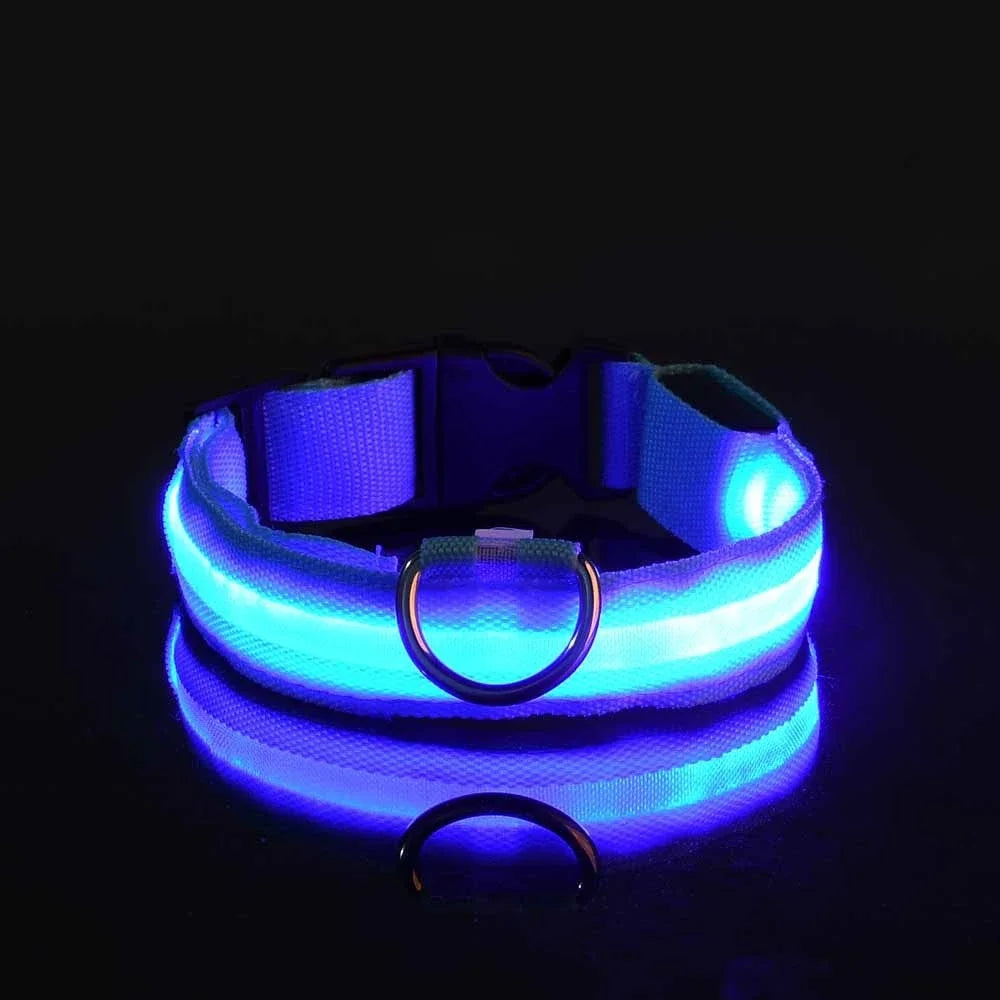 GlowCollar - See your dog, even in the dark