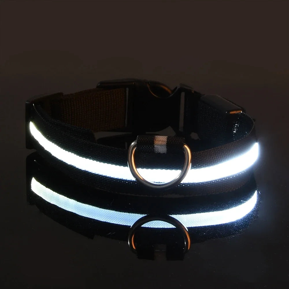 GlowCollar - See your dog, even in the dark
