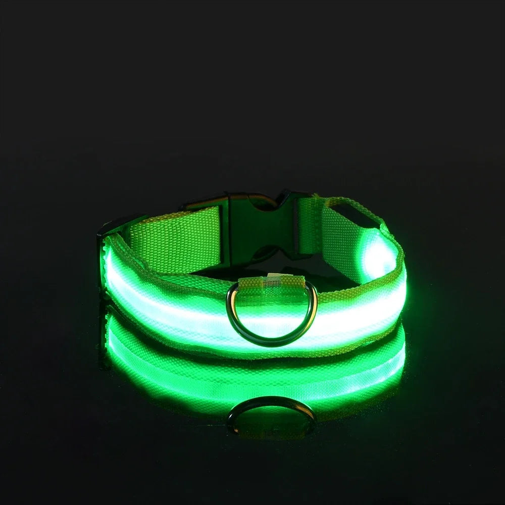 GlowCollar - See your dog, even in the dark