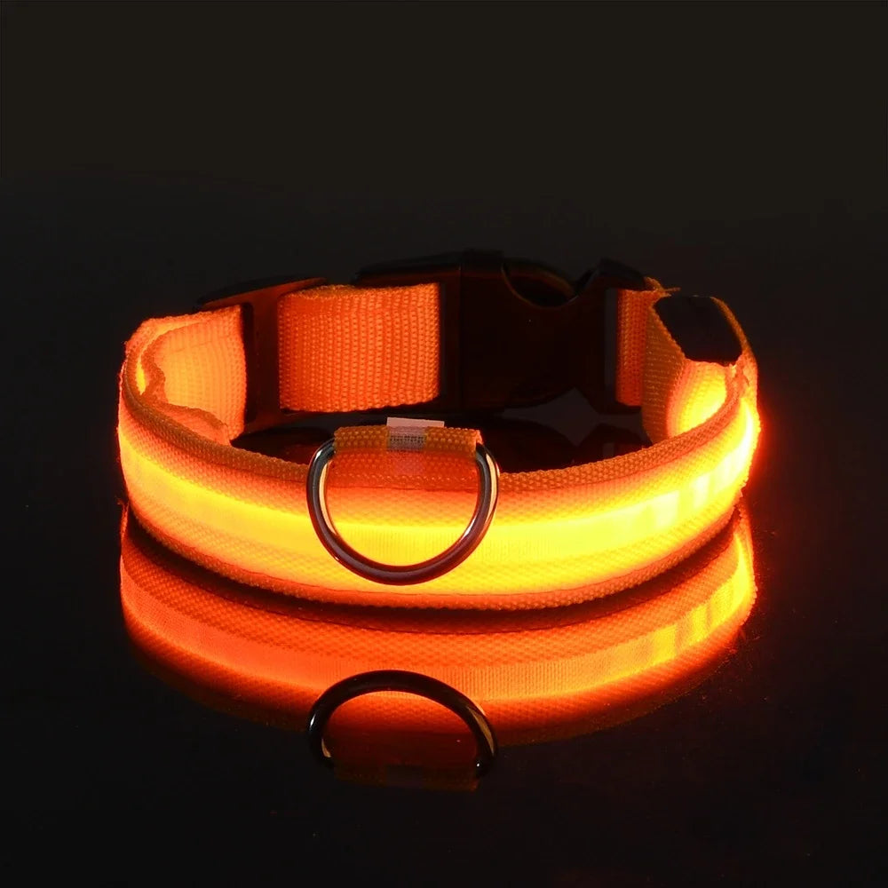 GlowCollar - See your dog, even in the dark