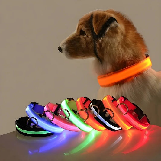 GlowCollar - See your dog, even in the dark