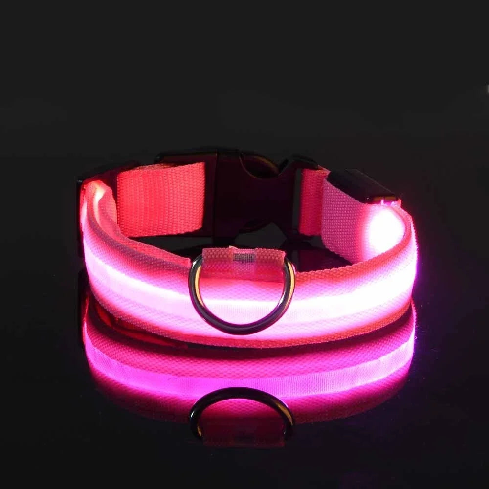 GlowCollar - See your dog, even in the dark