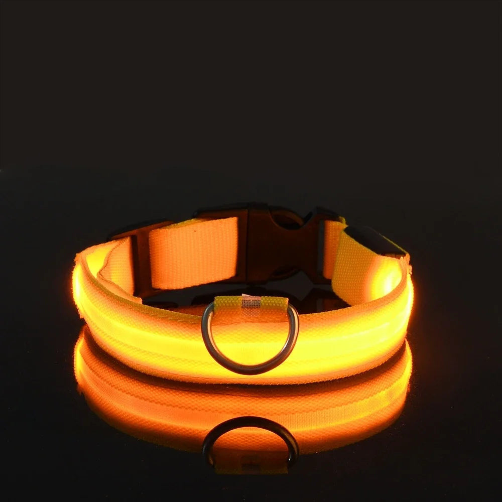 GlowCollar - See your dog, even in the dark