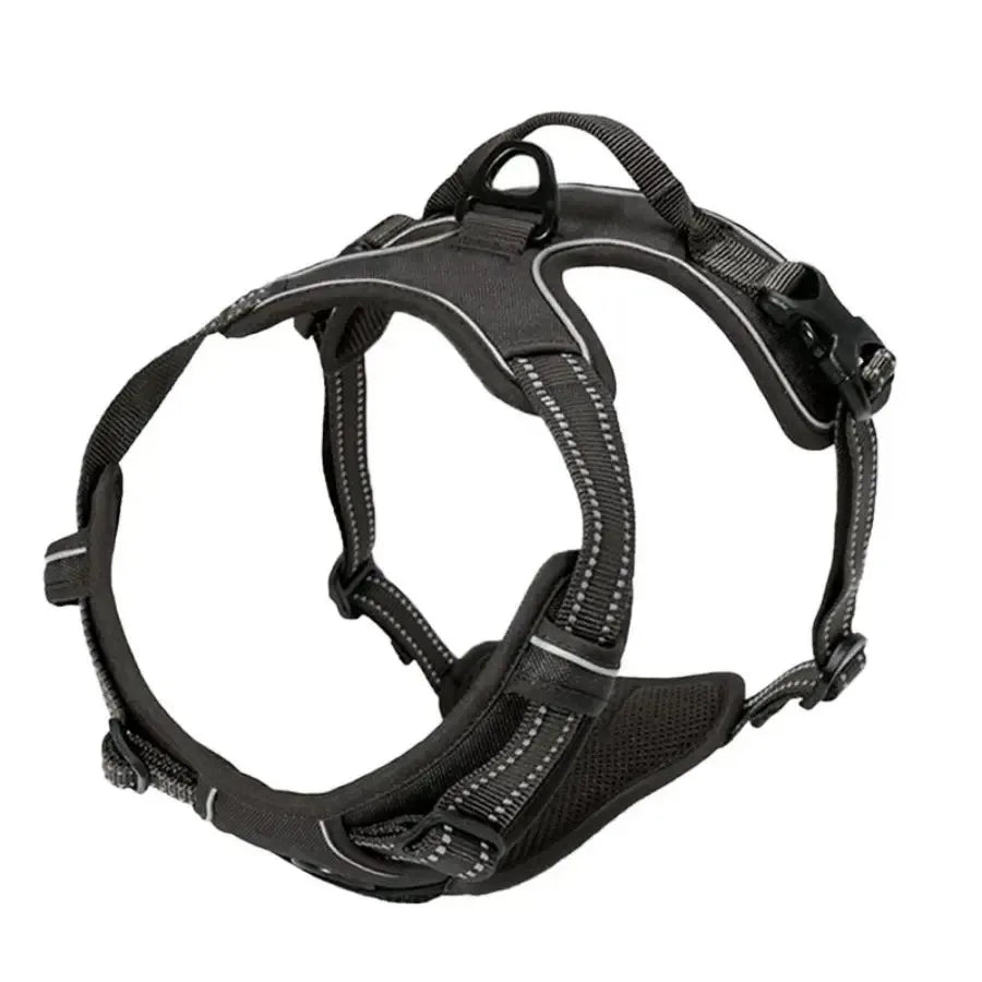 Dog Collar & Harness Set with Leash