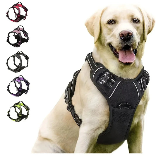Dog Collar & Harness Set with Leash