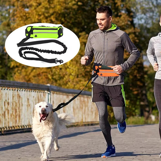Hands-Free Reflective Dog Leash with Waist Bag β Retractable & Elastic for Running and Walking
